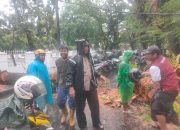 Respon Cepat Polsek Ujung Pandang Tangani Pohon Tumbang Akibat Cuaca Ekstrem