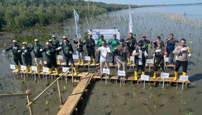 Tekan Abrasi dan Jaga Ekosistem Laut, Bhabinkamtibmas Untia Dukung Gerakan Tanam Mangrove
